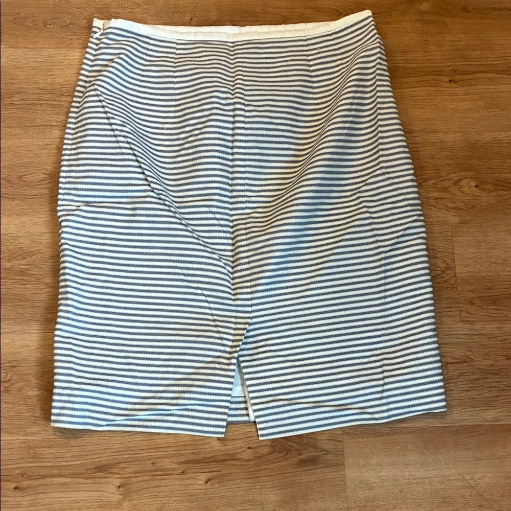 The Limited Striped Skirt‎ in Blue and White